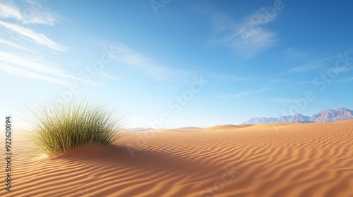 Lone grass plant growing in a vast desert landscape under a clear blue sky.