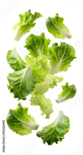 Fresh crisp lettuce leaves in mid-air, isolated PNG transparent