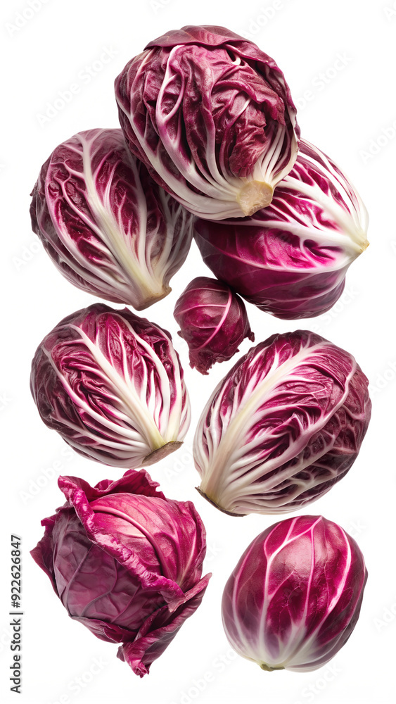 Cluster of radicchio heads with vibrant leaves, isolated PNG transparent Cluster of radicchio heads with vibrant leaves, isolated PNG transparent