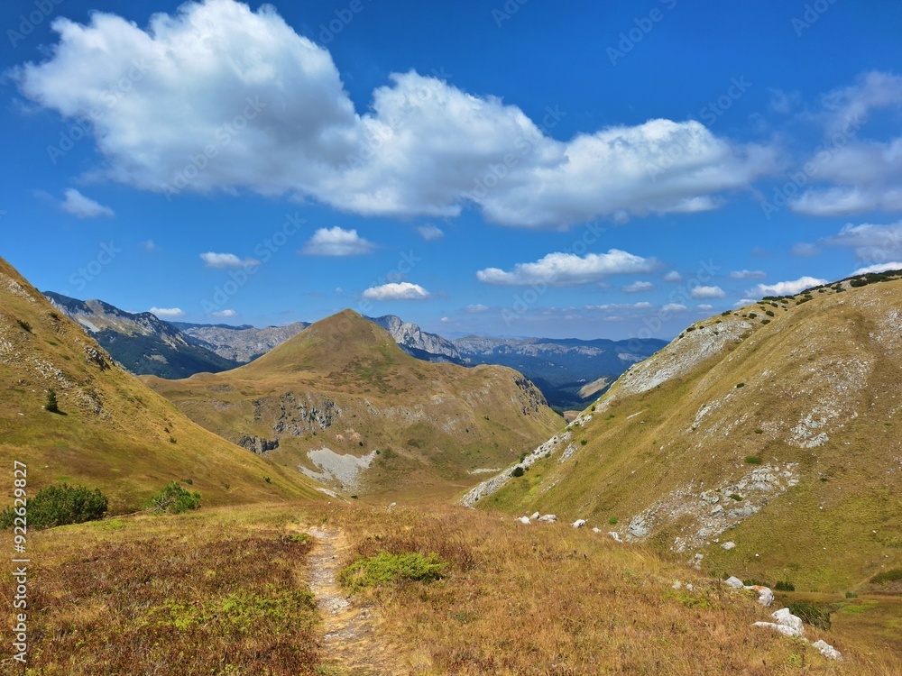Fototapeta premium landscape with sky and clouds