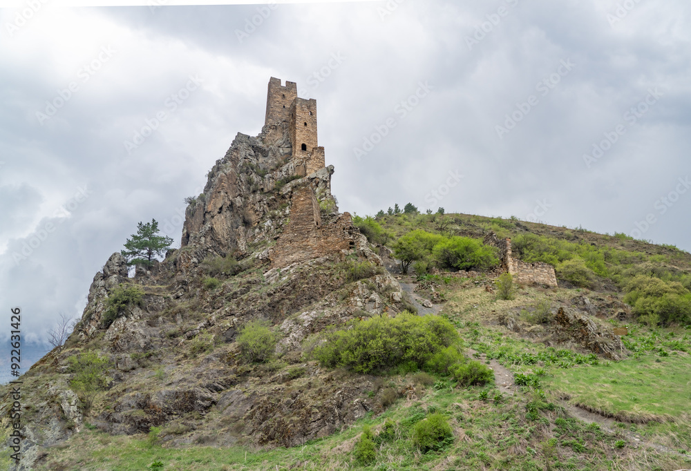 Obraz premium Vovnushki Medieval tower complex