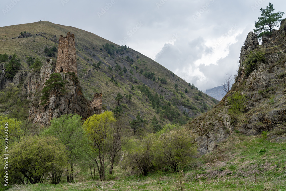 Fototapeta premium Vovnushki Medieval tower complex