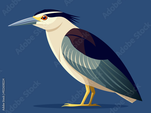 Illustration d'un héron de nuit à couronne noire (Nycticorax nycticorax)

