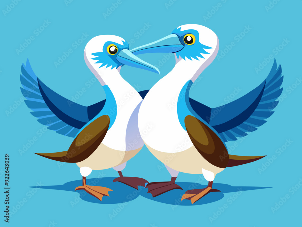 Naklejka premium Danse d’accouplement de fous à pieds bleus