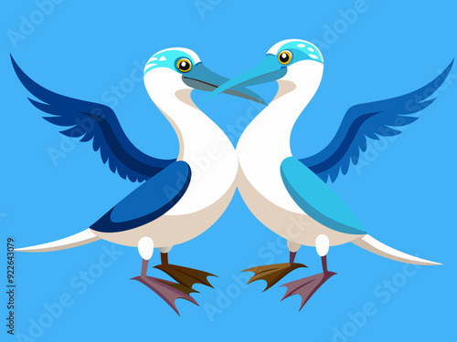 Danse d’accouplement de fous à pieds bleus