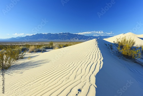 An image of dynamic desert dunes shaped by the wind, their shifting sands and undulating patterns creating an ever-changing landscap photo