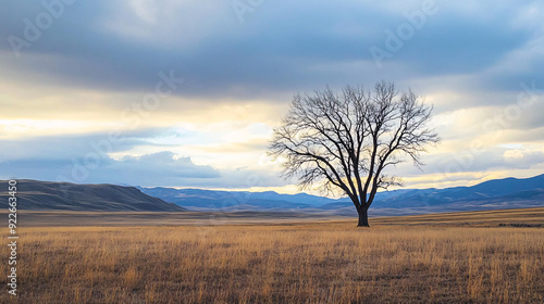 A serene landscape featuring a lone tree in an expansive and tranquil natural setting.