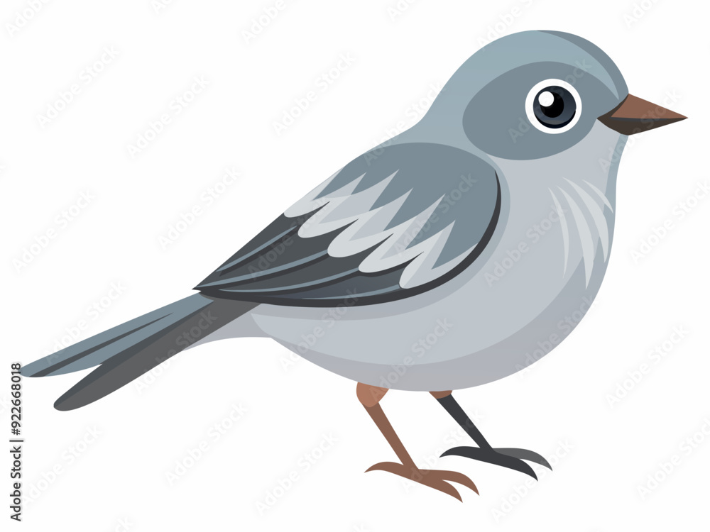Vetor de Le Moucherolle gris est un petit passereau insectivore de la