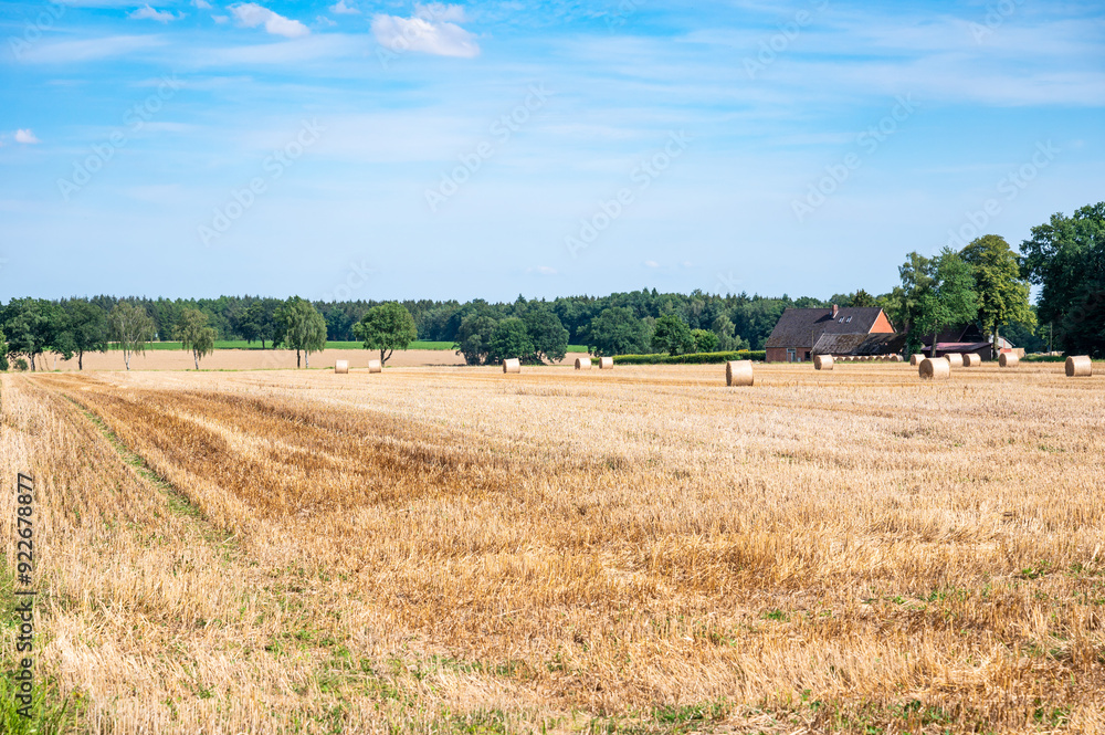 Harvested golden wheat field at the German countryside around Lower Saxony, Germany