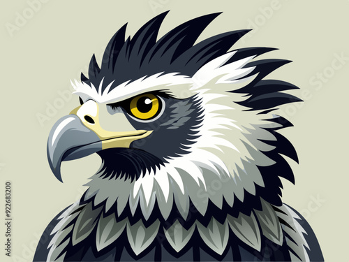 Noir et blanc couleur harpie aigle sauvage nature oiseau chasseur prédateur carnivore fort animal 
