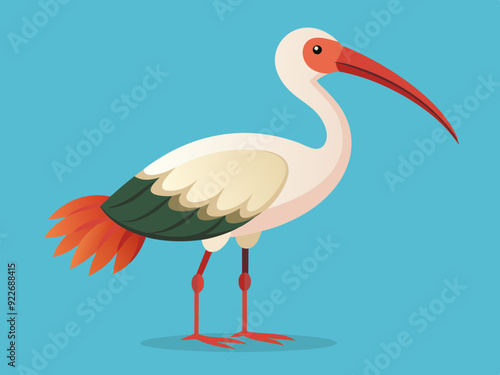 Dessin d’animaux d’oiseaux ibis Cartoon