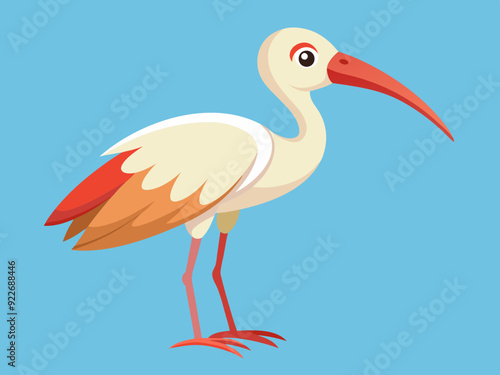 Dessin d’animaux d’oiseaux ibis Cartoon