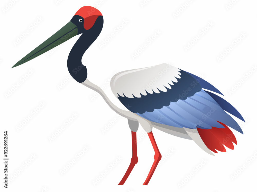 Naklejka premium Oiseau de cigogne de Jabiru sur un fond blanc 