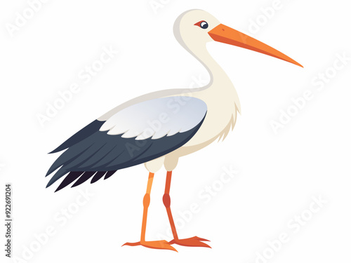 Oiseau de cigogne de Jabiru sur un fond blanc 
