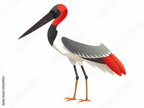 Oiseau de cigogne de Jabiru sur un fond blanc 
