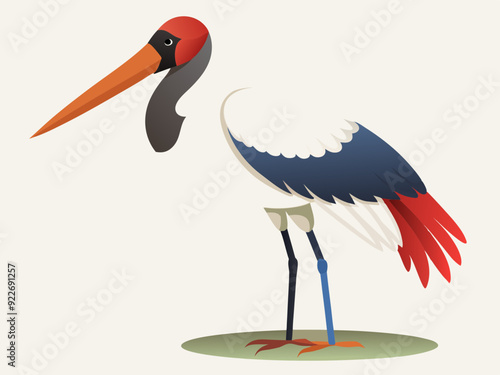 Oiseau de cigogne de Jabiru sur un fond blanc 
