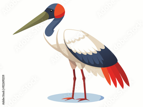 Oiseau de cigogne de Jabiru sur un fond blanc 
