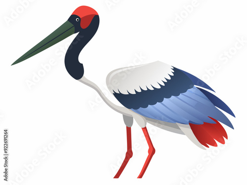 Oiseau de cigogne de Jabiru sur un fond blanc 
