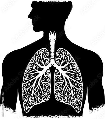 Silhouette of Human Lungs, Respiratory System Illustration, Medical Anatomy Visualization, Healthcare and Pulmonology Concept, Educational and Research Use, Human Organ Representation, Medical Poster 