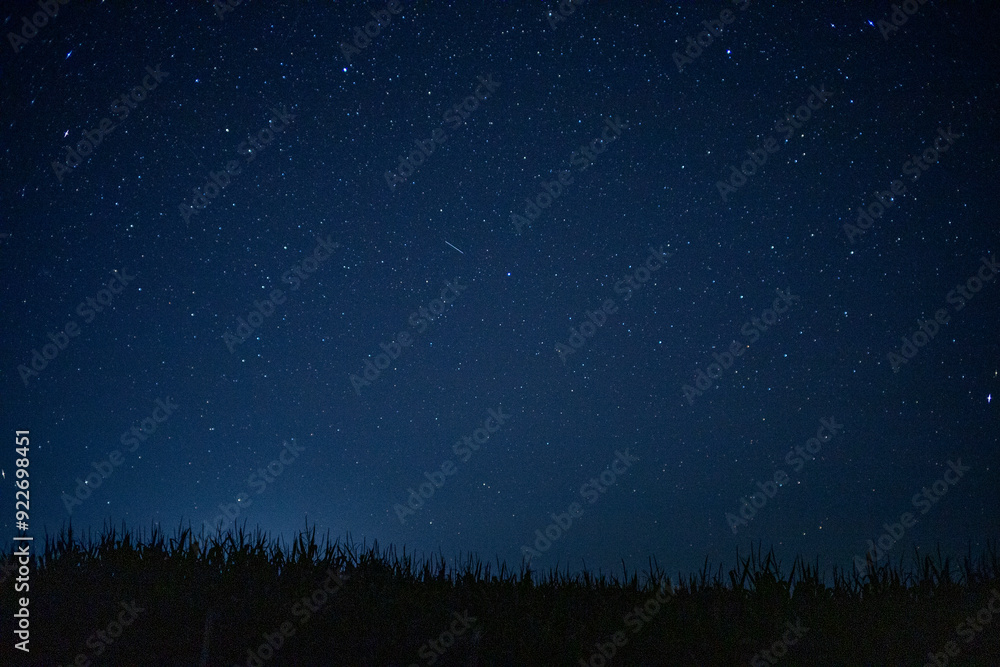 Fototapeta premium Night starry sky in summer