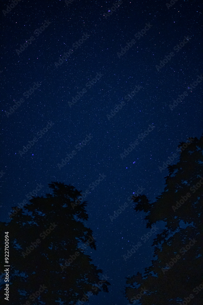 Night starry sky in summer Night starry sky in summer