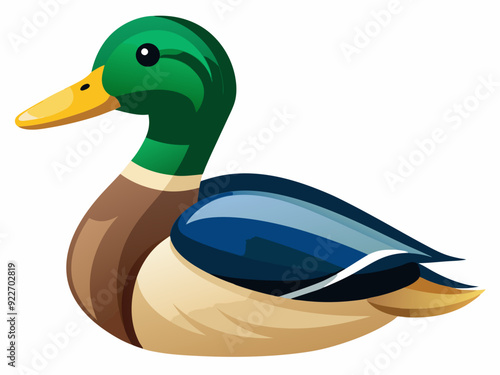 Mallard duck