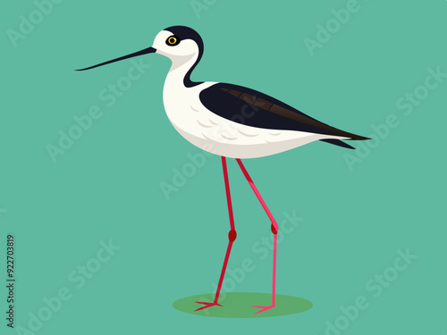 Échassier de l’avocet