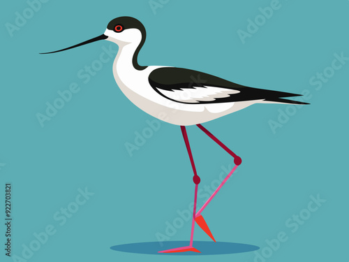 Échassier de l’avocet