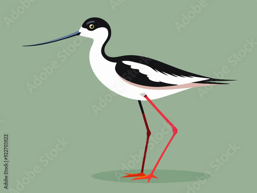 Échassier de l’avocet