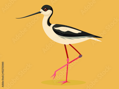 Échassier de l’avocet