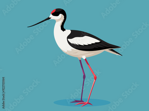 Échassier de l’avocet