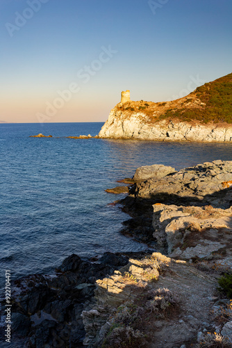 Barcaggio beach and Agnello tower, Cap Corse, Corsica, France. photo