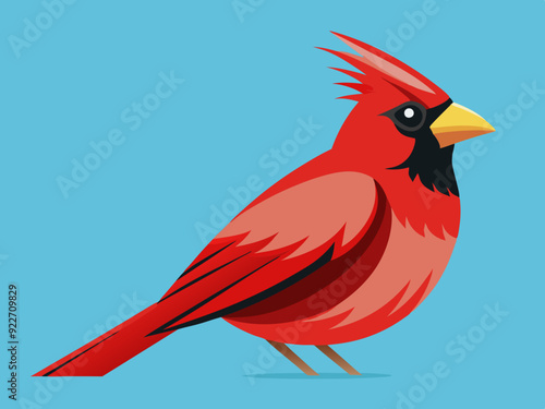 Oiseau Cardinal