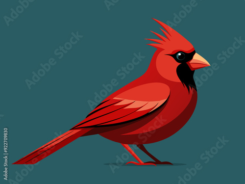 Oiseau Cardinal