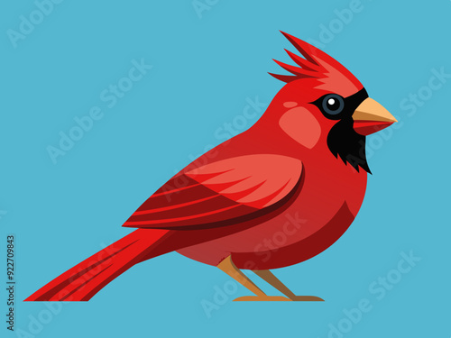 Oiseau Cardinal