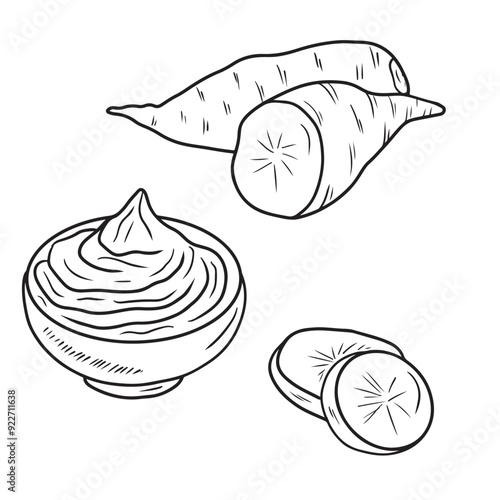 Tasty delicious sweet potato whole and half with slices and cream sauce with garlic and mashed potatoes in bowl. Hand drawn vector sketch illustration in doodle engraved vintage line art style