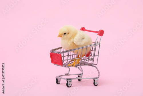 Shopping cart with cute lit...