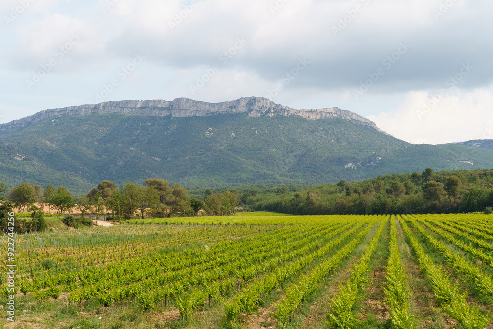 Serene Summer Landscape With a Majestic Mountain Range in the Distance Serene Summer Landscape With a Majestic Mountain Range in the Distance
