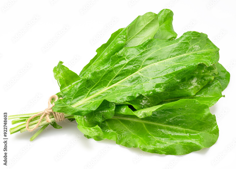 Fresh sorrel leaves isolated on white background. Fresh sorrel leaves isolated on white background.