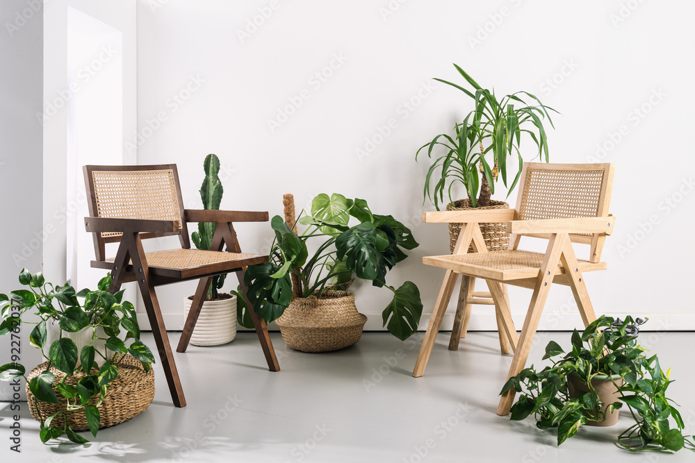 Modern wooden chairs surrounded by indoor plants in a bright, minimalist space Modern wooden chairs surrounded by indoor plants in a bright, minimalist space
