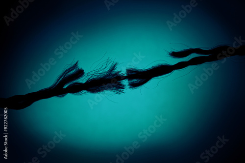 Silhouette of Breaking rope on Turquoise background.