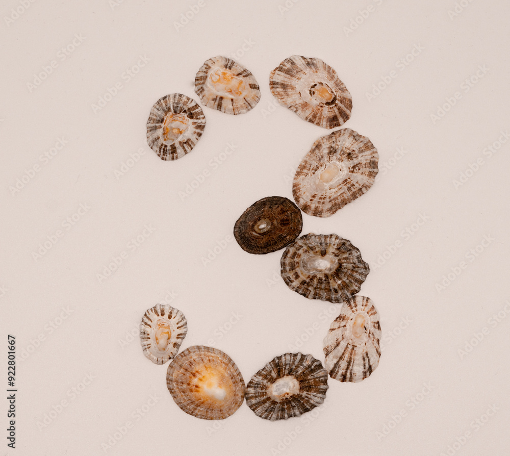 Number 3 made with seashells on white background Number 3 made with seashells on white background