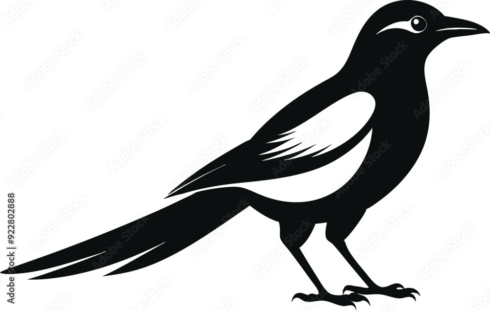 magpie silhouette vector art illustration magpie silhouette vector art illustration