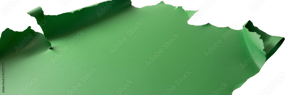 Large Torn Green Paper Sheet with White Background Large Torn Green Paper Sheet with White Background