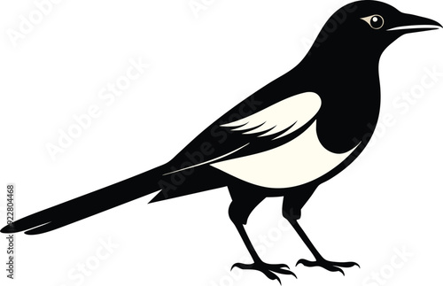 magpie silhouette vector art illustration 