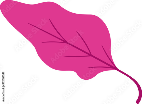 Leaf Salad Greens Edible Plant