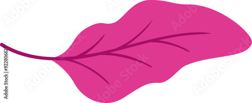 Leaf Salad Greens Edible Plant