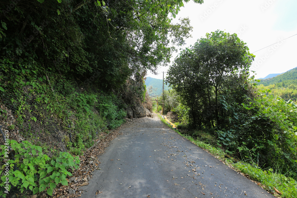 Fototapeta premium 災害 土砂崩れ