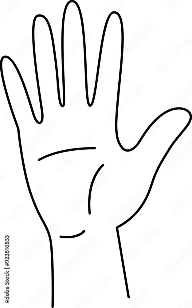 Human Palm Line Illustration Human Palm Line Illustration