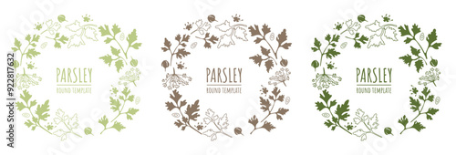 Parsley leaf, seed and flower template. Set of round organic leaf frames. Vector frames in one color. For labels, design, products